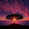 Beauty Silhouette