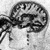 hatred surged into brain like a tsunami