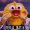 拋下我 