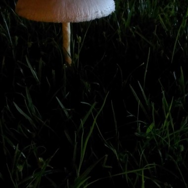 也沒多成熟系