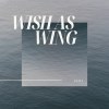 INTOR ：WISH (Instrumental)