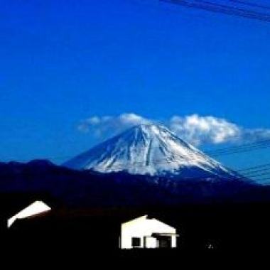 陽のあたる場所