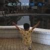 扬海 - 明晨该说再见