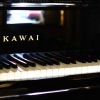 D. Scarlatti - Sonata in G, K.391, L.79