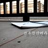 啞巴 Demo