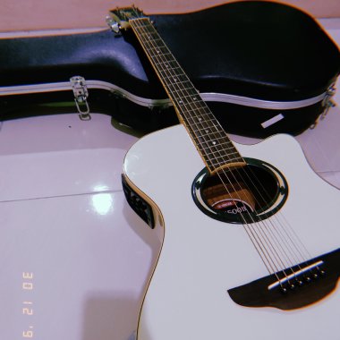 09 向光植物 - BONUS TRACK（2025 Demo）