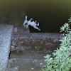 玩玩看