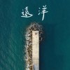 遠洋
