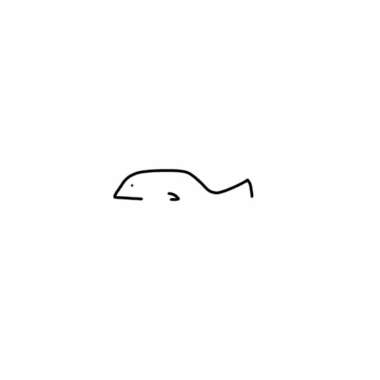 由來由去