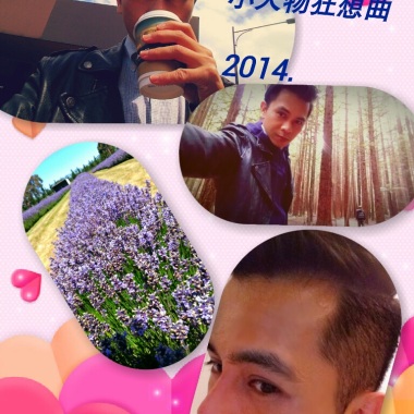 2014狂想曲
