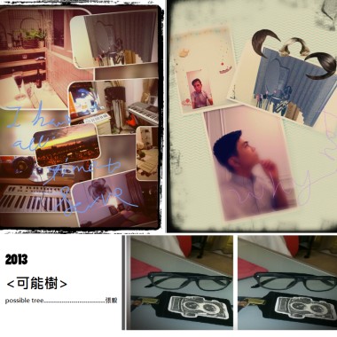 2013可能樹