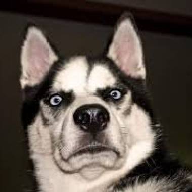 Doxi
