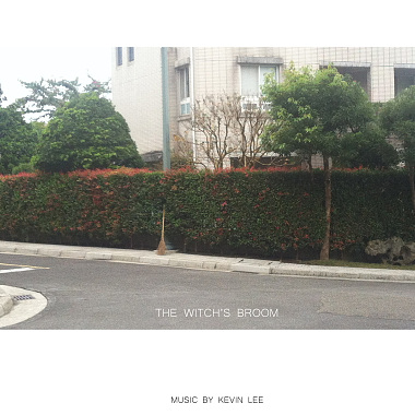 THE WITCH'S BROOM