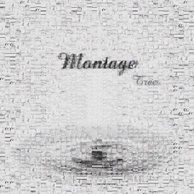 Montage