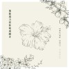無能為力把你寫成劇本 單曲