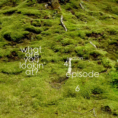What Are You Lookin' At? S04E06