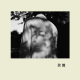 7.柠檬白兰地 Lemon Brandy