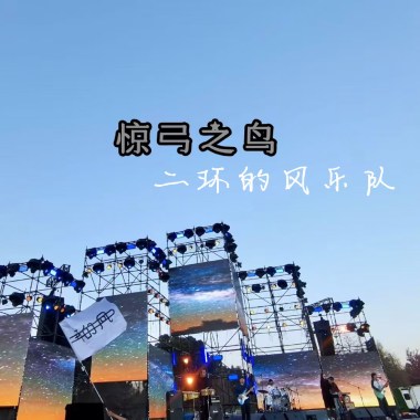 惊弓之鸟
