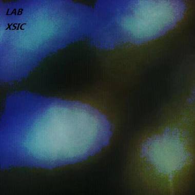 LAB