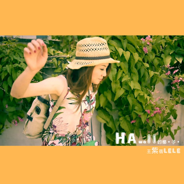 HAWAII的椰子