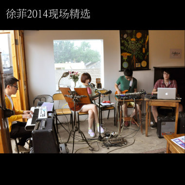 徐菲2014现场精选