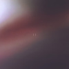 生长
