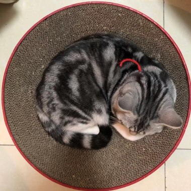 枯萎在青春的轰鸣