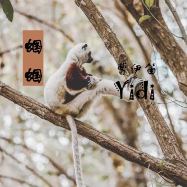 蝈蝈