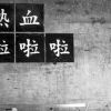 貓頭鷹的信念