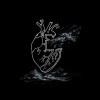 玻璃心(Instrumental)