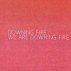 Downing Fire - Since 1982