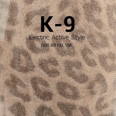 THis Is K-9