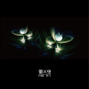 FIREFLY