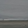 海岸