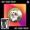 2021 個人年度精選之最