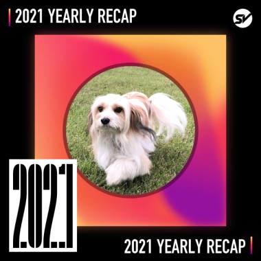 2021 個人年度精選之最