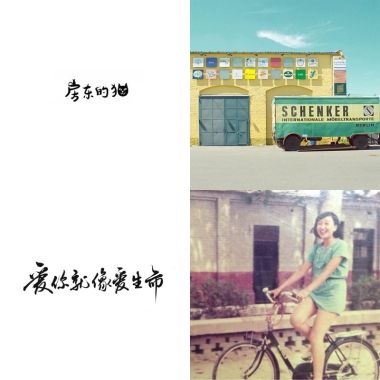 房東的貓