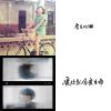 房東的貓