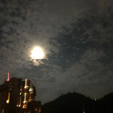 我的歌单