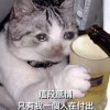 ♡︎ʾʾ /☆︎*.｡