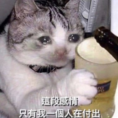 ♡︎ʾʾ /☆︎*.｡