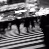 與全世界和解