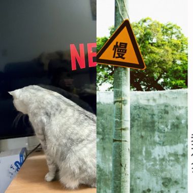 上班必聽