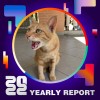 2022 個人年度精選