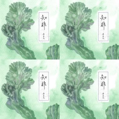 我的歌單  