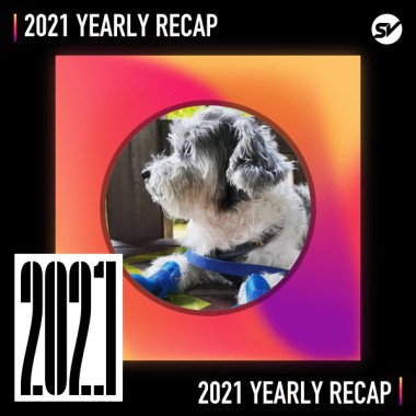 2021 個人年度精選之最