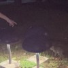 聽完這首歌我就會放下你了