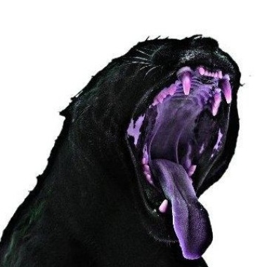 话