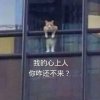 不就是爱吗
