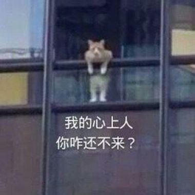 不就是爱吗